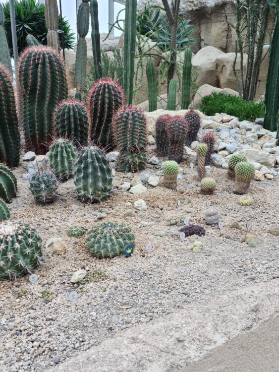 20210827_151000_resized