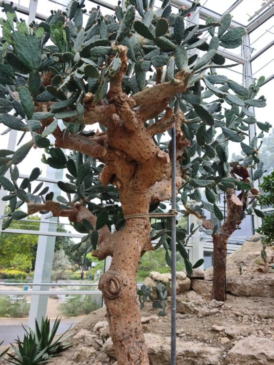 20210827_151116_resized