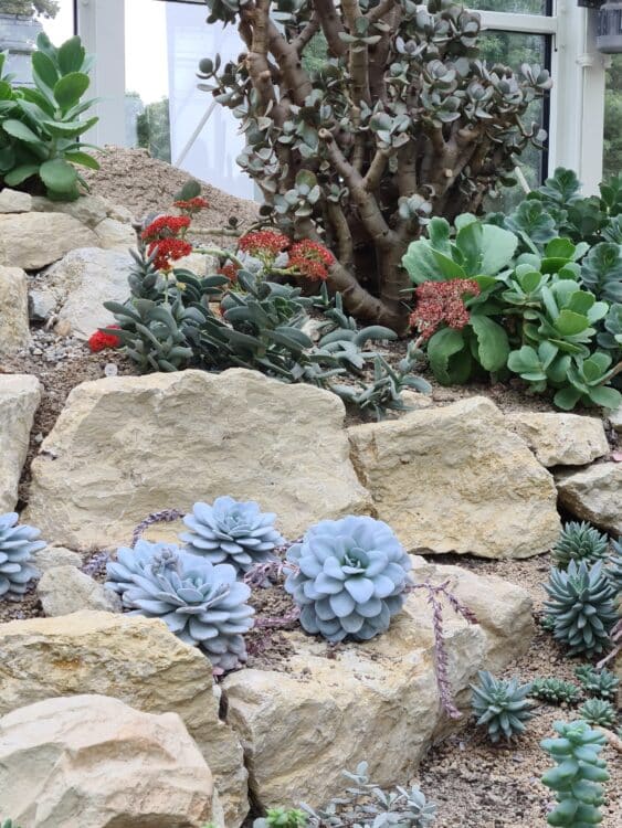 20210827_151312_resized