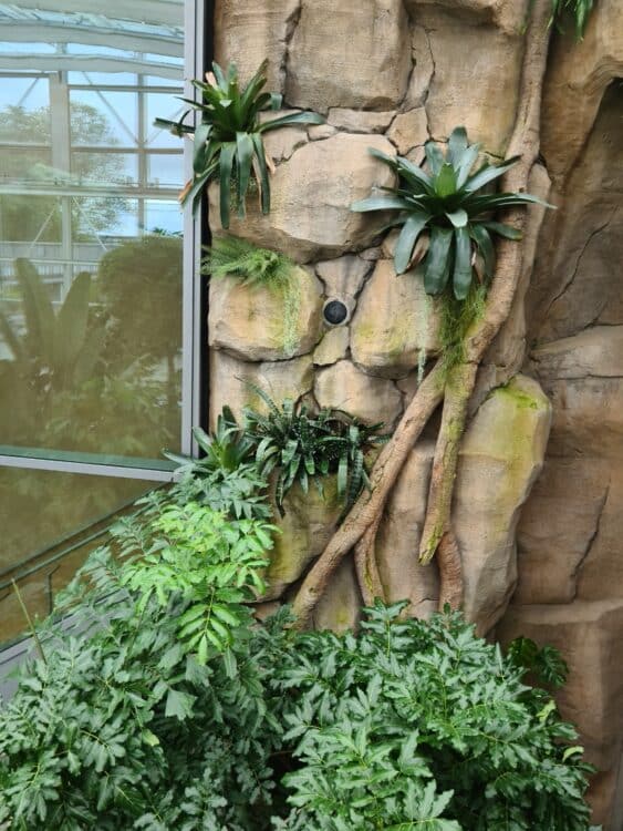 20210827_151748_resized